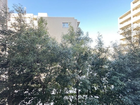 apartment 東京都渋谷区神宮前４丁目11-6　表参道千代田ビル7F