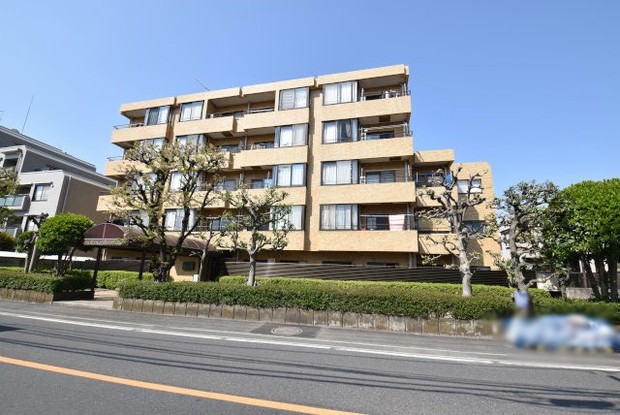 apartment 東京都渋谷区神宮前４丁目11-6　プレファス表参道7F