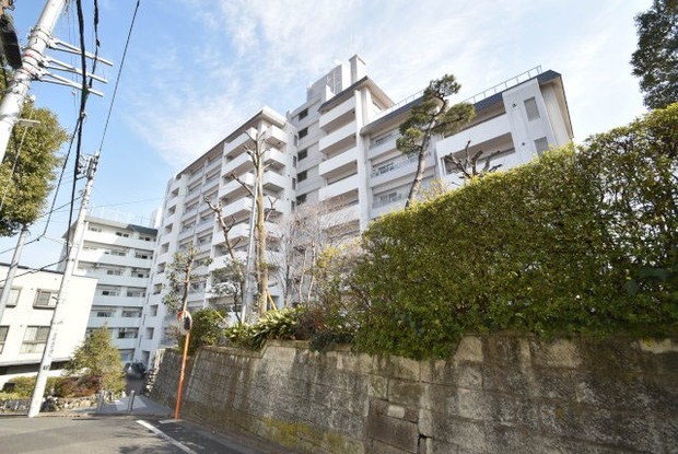 apartment 東京都渋谷区神宮前４丁目11-6　プレファス表参道7F