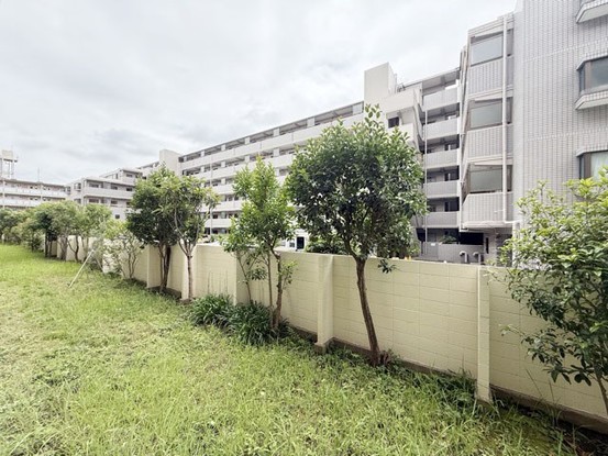 apartment 東京都渋谷区神宮前４丁目11-6　プレファス表参道7F