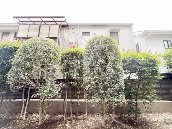 apartment 東京都渋谷区神宮前４丁目11-6　プレファス表参道7F
