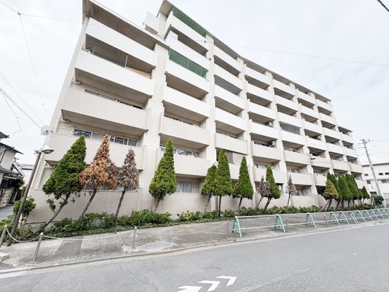 apartment 東京都渋谷区神宮前４丁目11-6　プレファス表参道7F