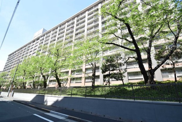 apartment 東京都渋谷区神宮前４丁目11-6　プレファス表参道7F