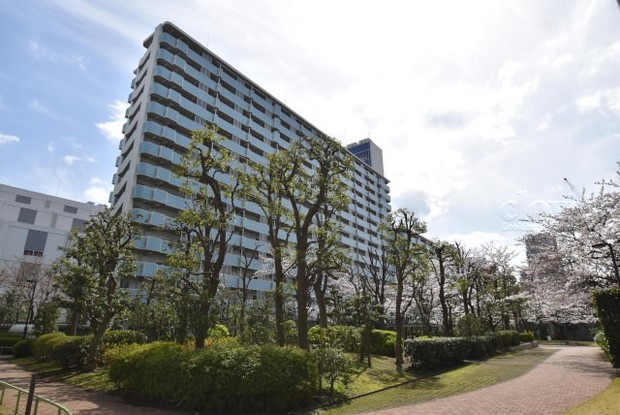 apartment 東京都渋谷区神宮前４丁目11-6　プレファス表参道7F