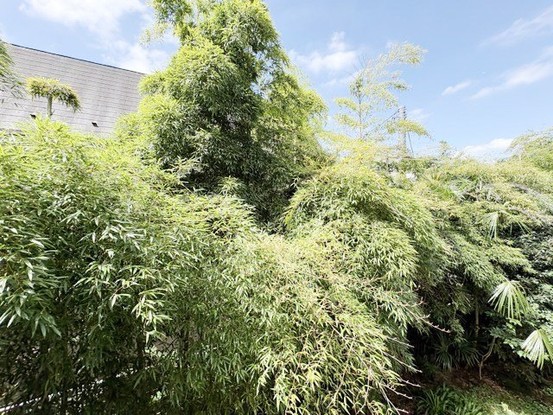 apartment 東京都渋谷区神宮前４丁目11-6　プレファス表参道7F