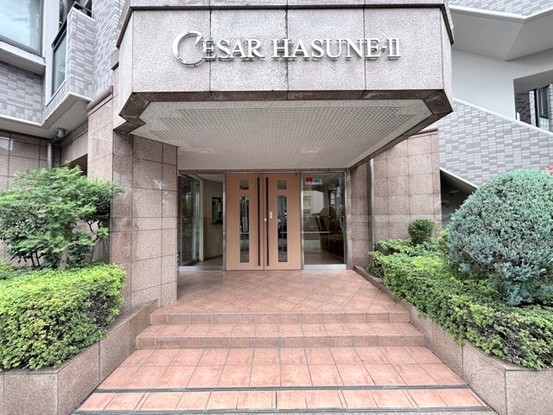 apartment 東京都渋谷区神宮前４丁目11-6　プレファス表参道7F