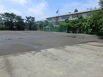 apartment 東京都立川市錦町２丁目6-2 ステラNKビル1F