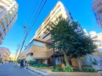apartment 東京都立川市錦町２丁目6-2 ステラNKビル1F