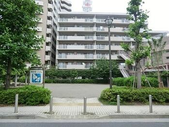 apartment 東京都立川市錦町２丁目6-2 ステラNKビル1F