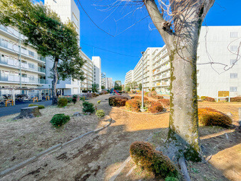 apartment 東京都立川市錦町２丁目6-2 ステラNKビル1F
