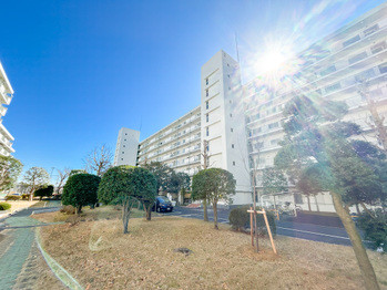apartment 東京都立川市錦町２丁目6-2 ステラNKビル1F