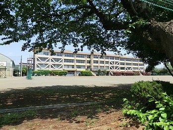 apartment 東京都立川市錦町２丁目6-2 ステラNKビル1F
