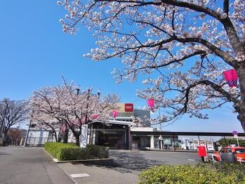 apartment 東京都立川市錦町２丁目6-2 ステラNKビル1F