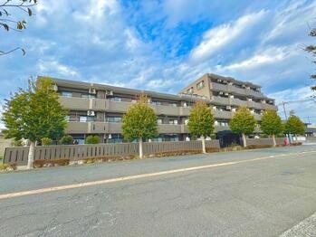 apartment 東京都立川市錦町２丁目6-2 ステラNKビル1F
