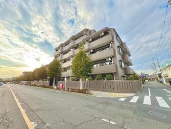 apartment 東京都立川市錦町２丁目6-2 ステラNKビル1F