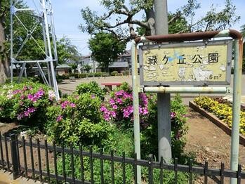 apartment 東京都立川市錦町２丁目6-2 ステラNKビル1F