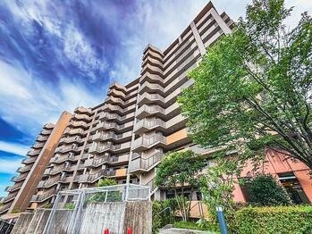 apartment 東京都立川市錦町２丁目6-2 ステラNKビル1F