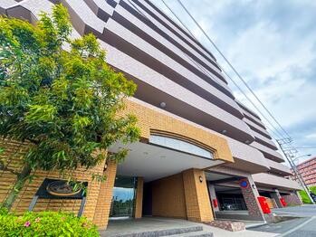 apartment 東京都立川市錦町２丁目6-2 ステラNKビル1F