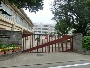 apartment 東京都立川市錦町２丁目6-2 ステラNKビル1F