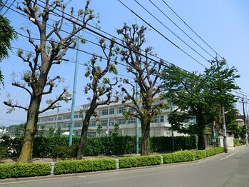 detached 東京都立川市錦町２丁目6-2 ステラNKビル1F
