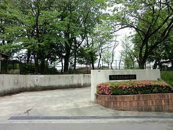 apartment 東京都立川市錦町２丁目6-2 ステラNKビル1F