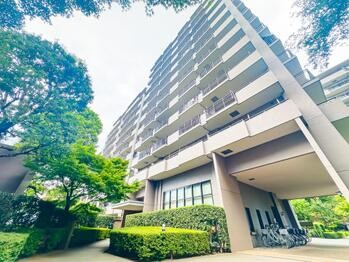 apartment 東京都立川市錦町２丁目6-2 ステラNKビル1F