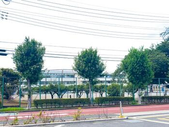 apartment 東京都立川市錦町２丁目6-2 ステラNKビル1F