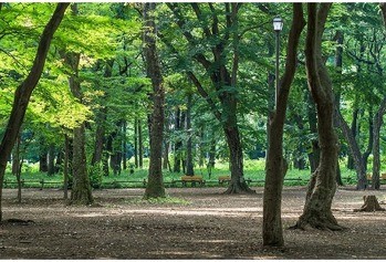 detached 東京都立川市錦町２丁目6-2 ステラNKビル1F