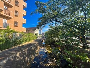 apartment 東京都立川市錦町２丁目6-2 ステラNKビル1F