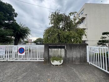 apartment 東京都立川市錦町２丁目6-2 ステラNKビル1F