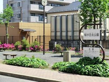 apartment 東京都立川市錦町２丁目6-2 ステラNKビル1F