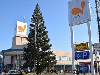 apartment 東京都立川市錦町２丁目6-2 ステラNKビル1F