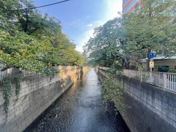 apartment 東京都立川市錦町２丁目6-2 ステラNKビル1F