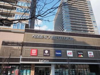 apartment 東京都立川市錦町２丁目6-2 ステラNKビル1F