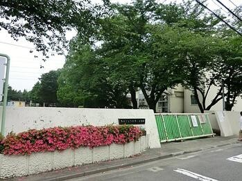 apartment 東京都立川市錦町２丁目6-2 ステラNKビル1F