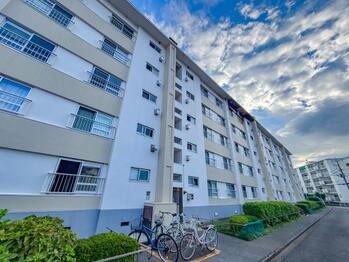 apartment 東京都立川市錦町２丁目6-2 ステラNKビル1F