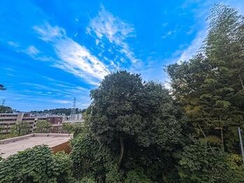 detached 東京都立川市錦町２丁目6-2 ステラNKビル1F