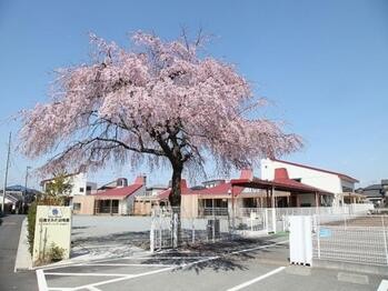 apartment 東京都立川市錦町２丁目6-2 ステラNKビル1F