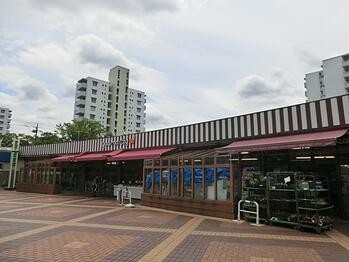 apartment 東京都立川市錦町２丁目6-2 ステラNKビル1F