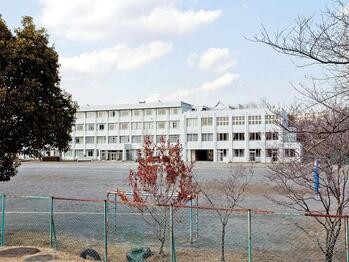 apartment 東京都立川市錦町２丁目6-2 ステラNKビル1F