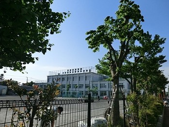 apartment 東京都立川市錦町２丁目6-2 ステラNKビル1F