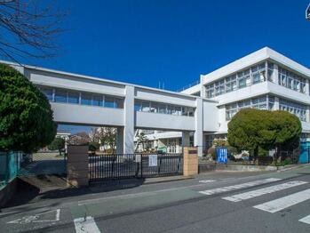 apartment 東京都立川市錦町２丁目6-2 ステラNKビル1F