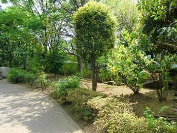 apartment 東京都立川市錦町２丁目6-2 ステラNKビル1F