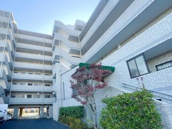 apartment 東京都立川市錦町２丁目6-2 ステラNKビル1F