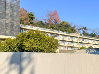 apartment 東京都立川市錦町２丁目6-2 ステラNKビル1F