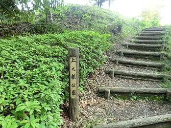 apartment 東京都立川市錦町２丁目6-2 ステラNKビル1F