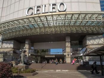 apartment 東京都立川市錦町２丁目6-2 ステラNKビル1F