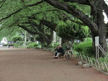 apartment 東京都立川市錦町２丁目6-2 ステラNKビル1F