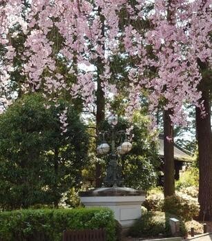 detached 東京都立川市錦町２丁目6-2 ステラNKビル1F