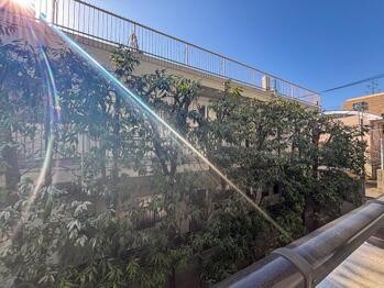 apartment 東京都立川市錦町２丁目6-2 ステラNKビル1F